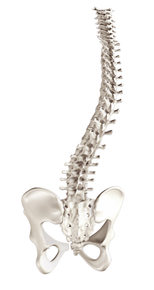 Spine Deformity Surgery 